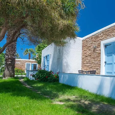 Отель Naxos Holidays 3*