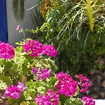 Naxos Holidays 3* Naxos City