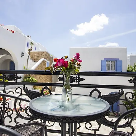 Отель Naxos Holidays 3*
