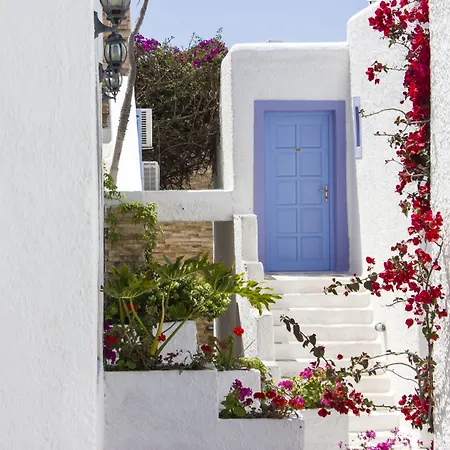 호텔 Naxos Holidays Naxos City