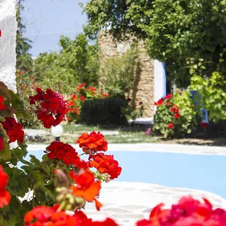 Hotel Naxos Holidays Naxos City
