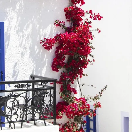 Naxos Holidays