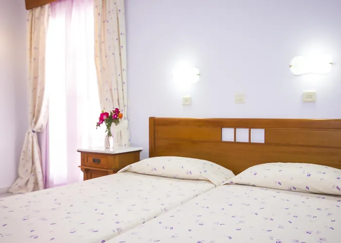 Naxos Holidays 호텔