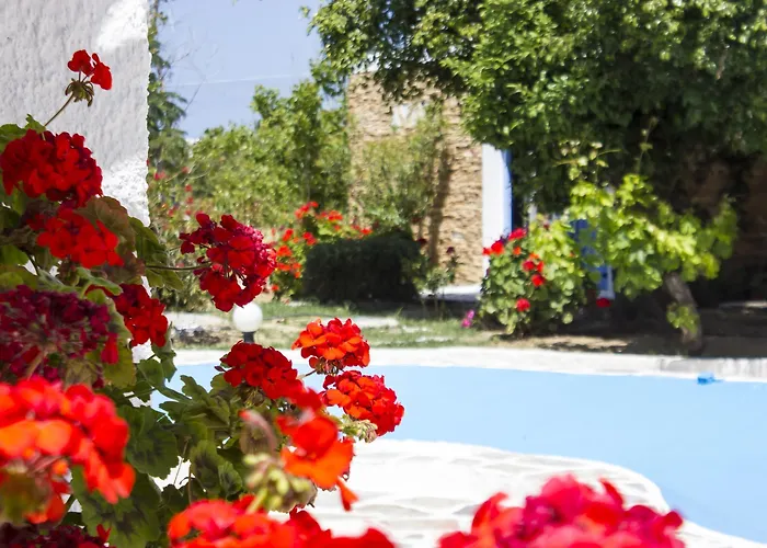 호텔 Naxos Holidays Naxos City