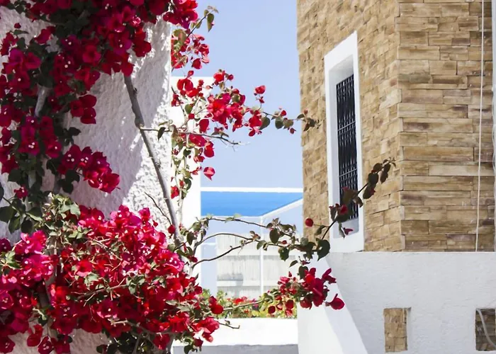 Naxos Holidays 3* Naxos City