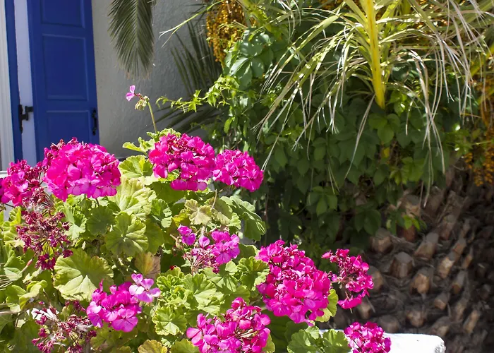 Naxos Holidays 3* Naxos City